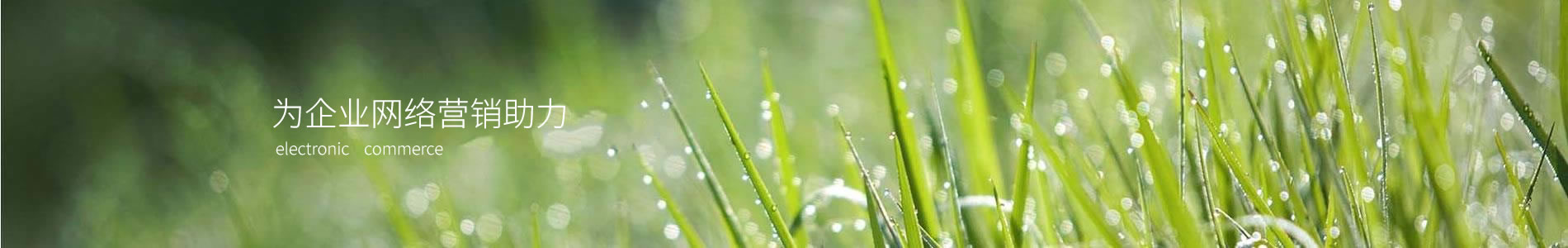 ڵƼչ޹˾
